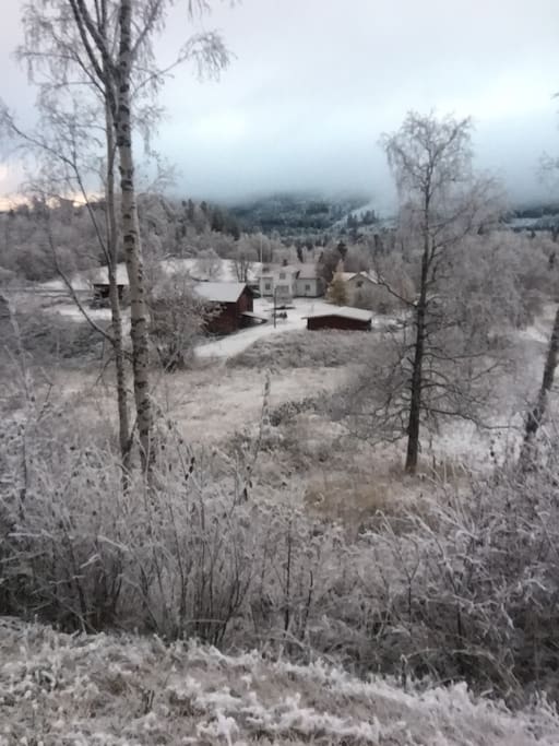 Our farm