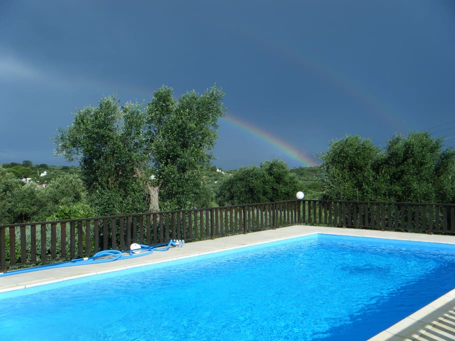 la piscina, protetta dagli ulivi, è protetta da sguardi indiscreti ...