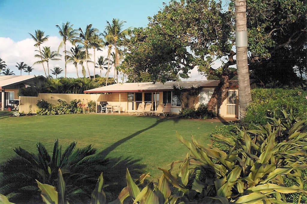Wonderful yard and covered patio with table and chaise lounges