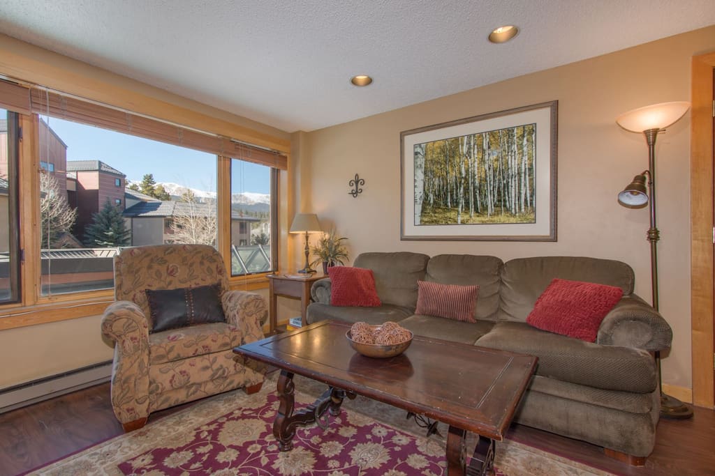 Colorado Mountain Studio Living Room