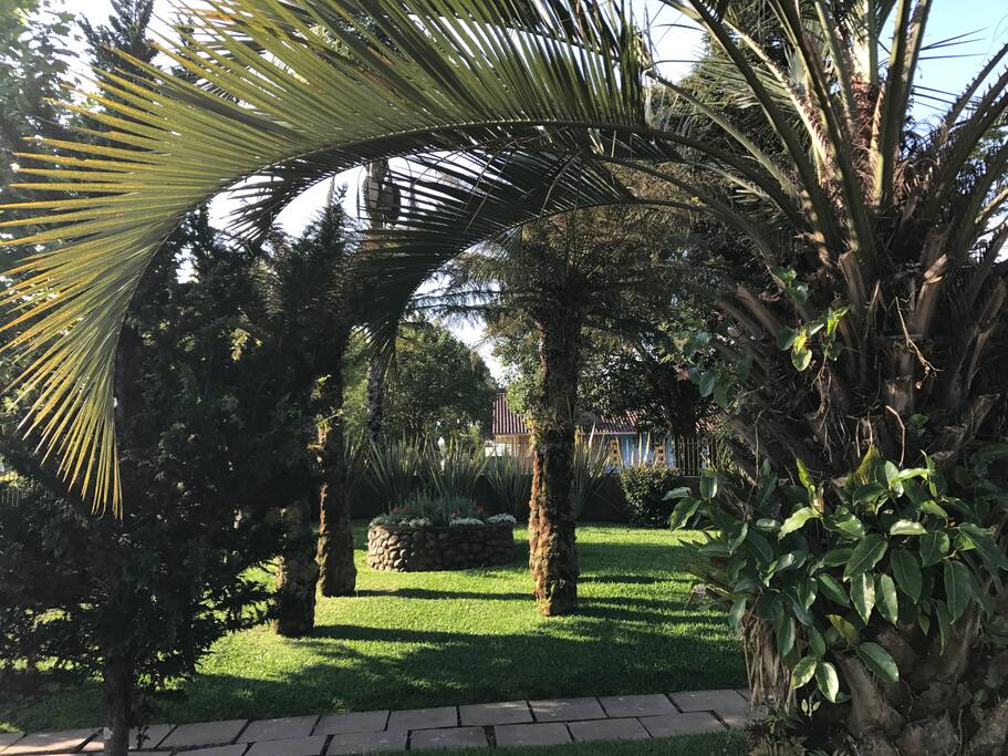 Exuberante jardim com espécies nativas da região