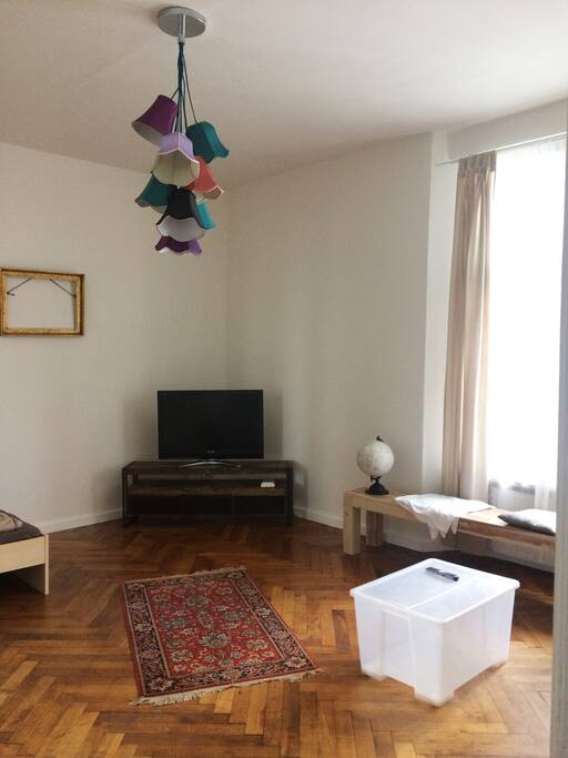 bedroom / living room