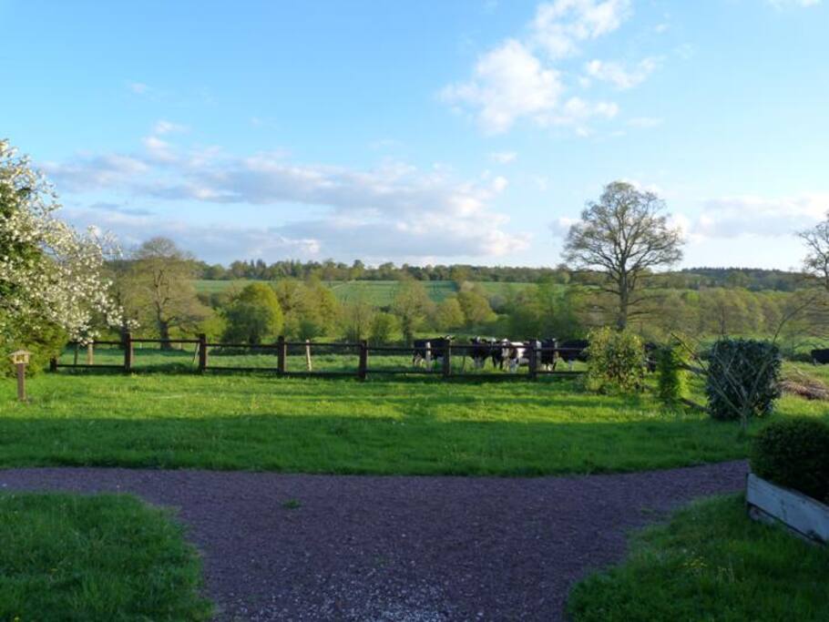 View at the back of the house
