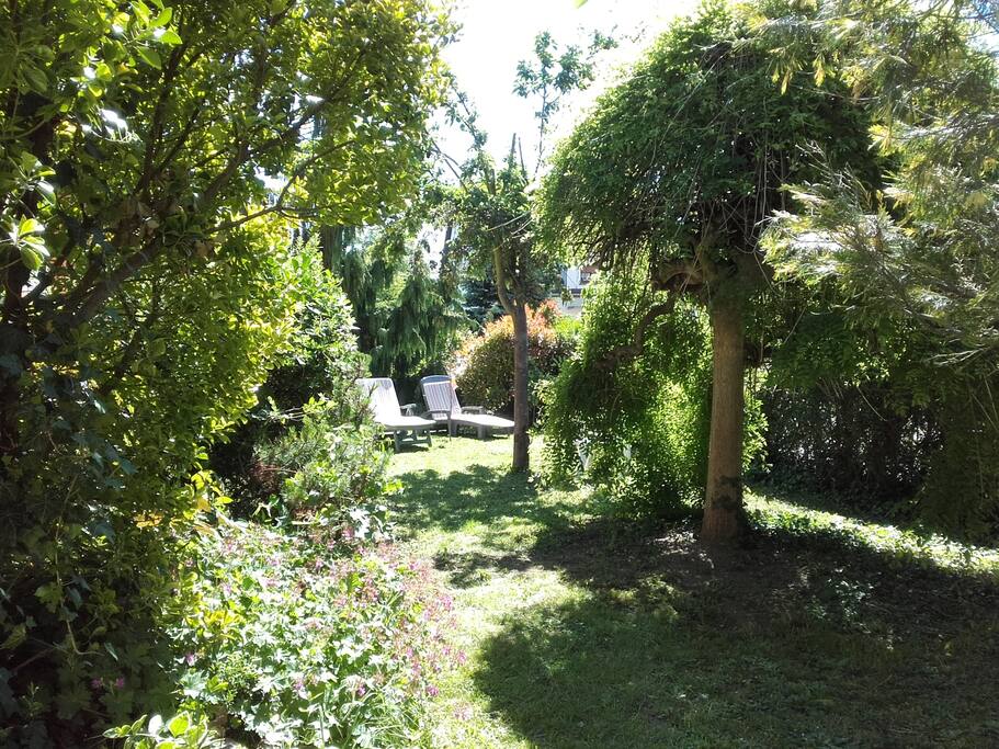 le verger et son jardin