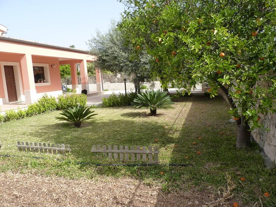 Giardino