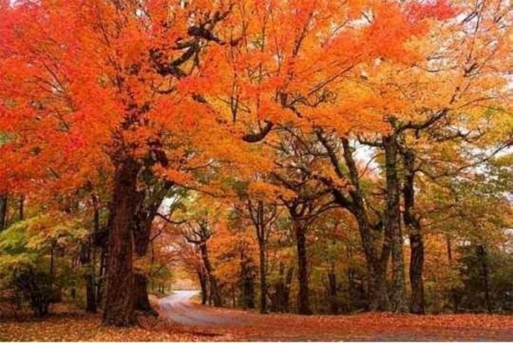 Fall on Sugar Mountain