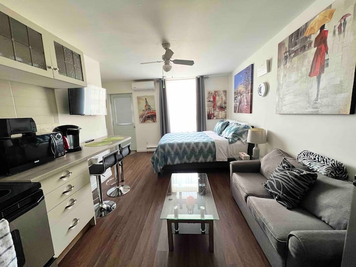 Studio Close To Downtown - Free Private Parking - モントリオール