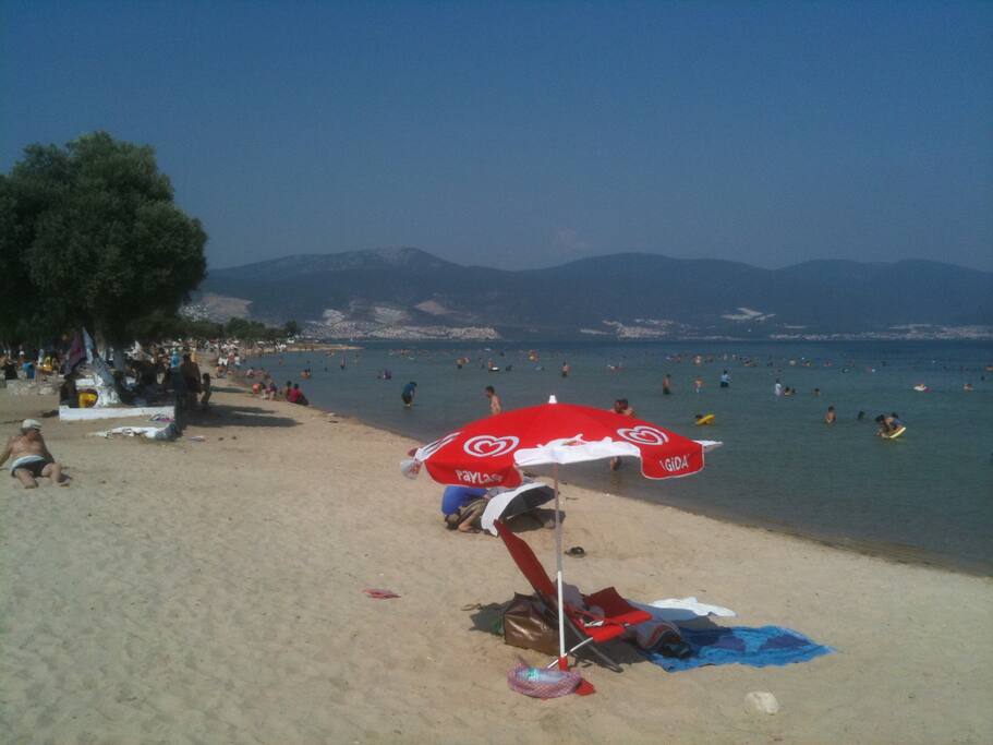 View from the beach