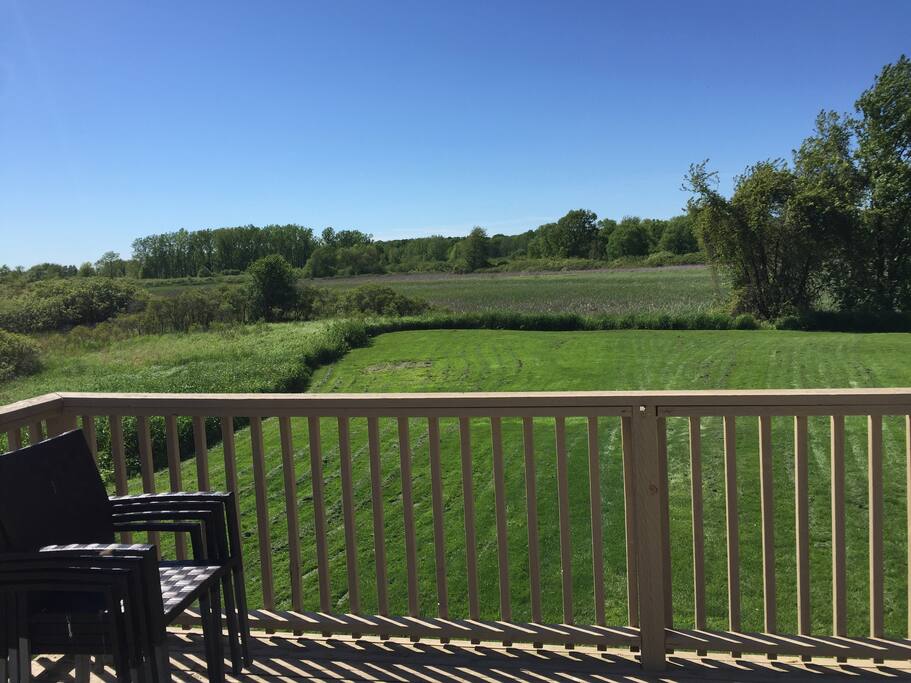 View from the deck to the backyard