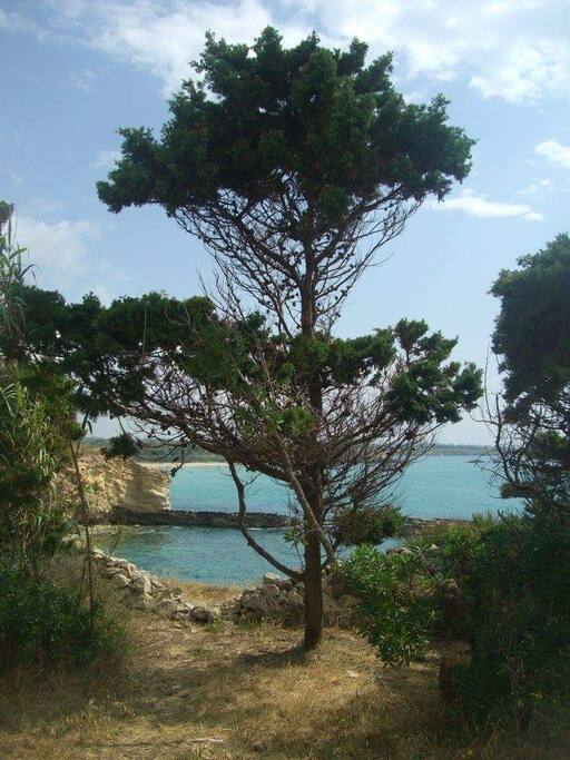 riserva del gelsomineto