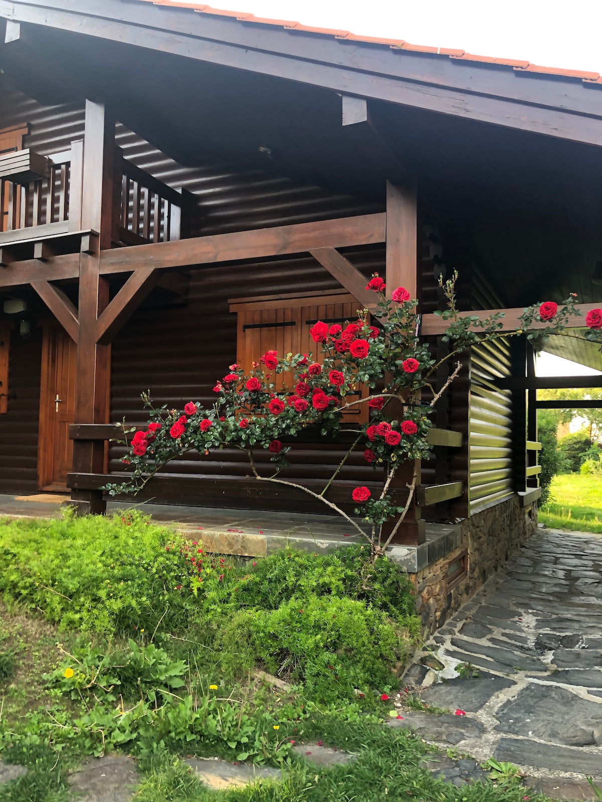 A wooden cabin exterior is showcased, featuring a charming porch supported by timber beams. A vibrant rose bush with red flowers climbs along the railing, while a stone pathway leads to the entrance, surrounded by lush greenery.