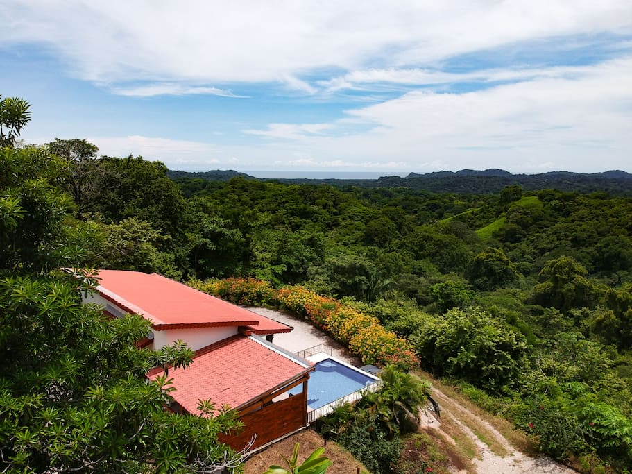 Ocean and jungle views