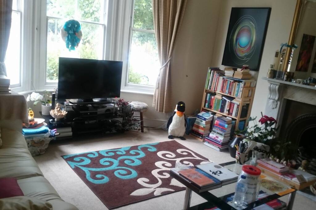 Living room to chill, read and watch movies