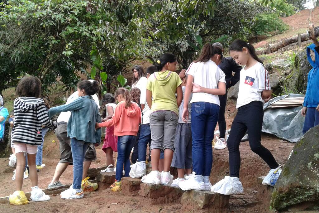 Principios da agro floresta