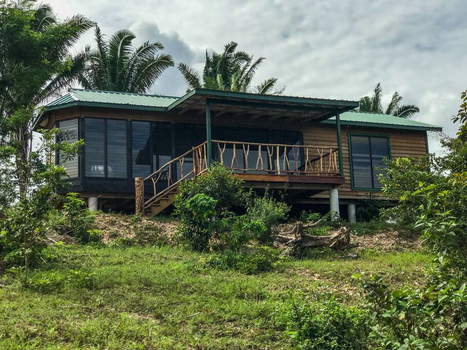 Looking up from Turtle Island. Let's take a look inside!