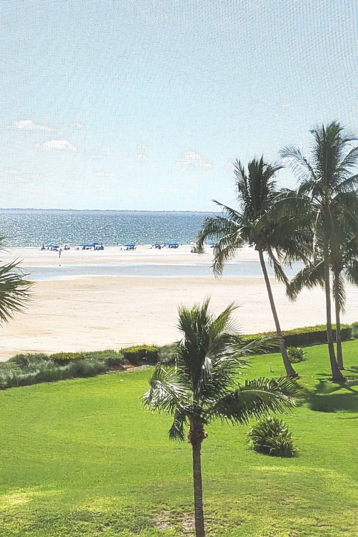 A scenic view of the beach and ocean is captured, with gentle waves lapping against the shore. Lush green grass and palm trees frame the foreground, while beach chairs dot the sandy shoreline under a bright blue sky.