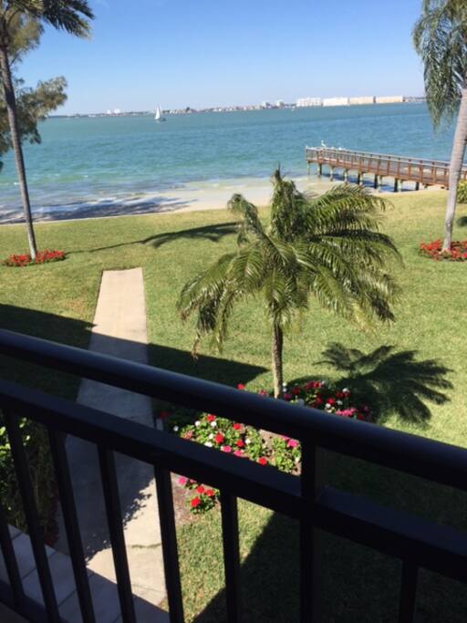 Patio View