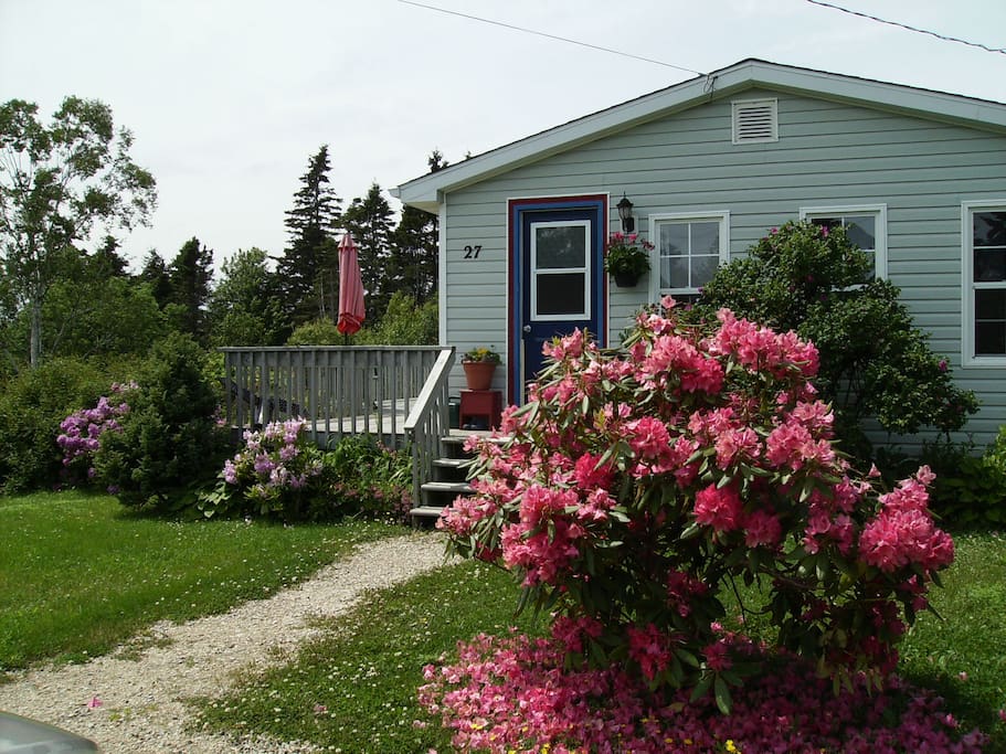 Newmooncottage in full perennial bloom!