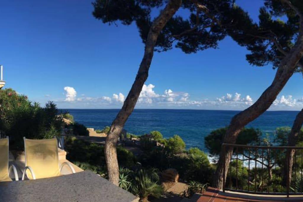 Looking east from your breakfast table.