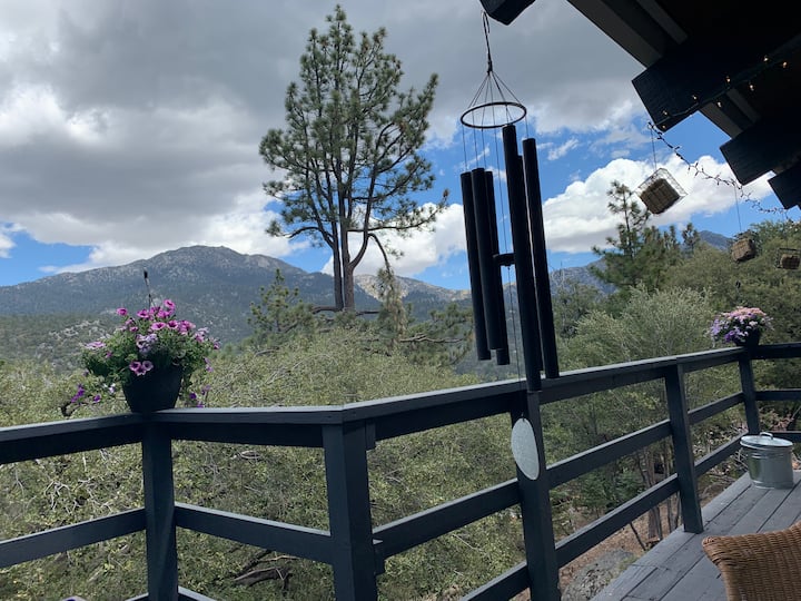 Lark 's ChaletIdyllwildPine Cove/Se admiten mascotas Chalets en