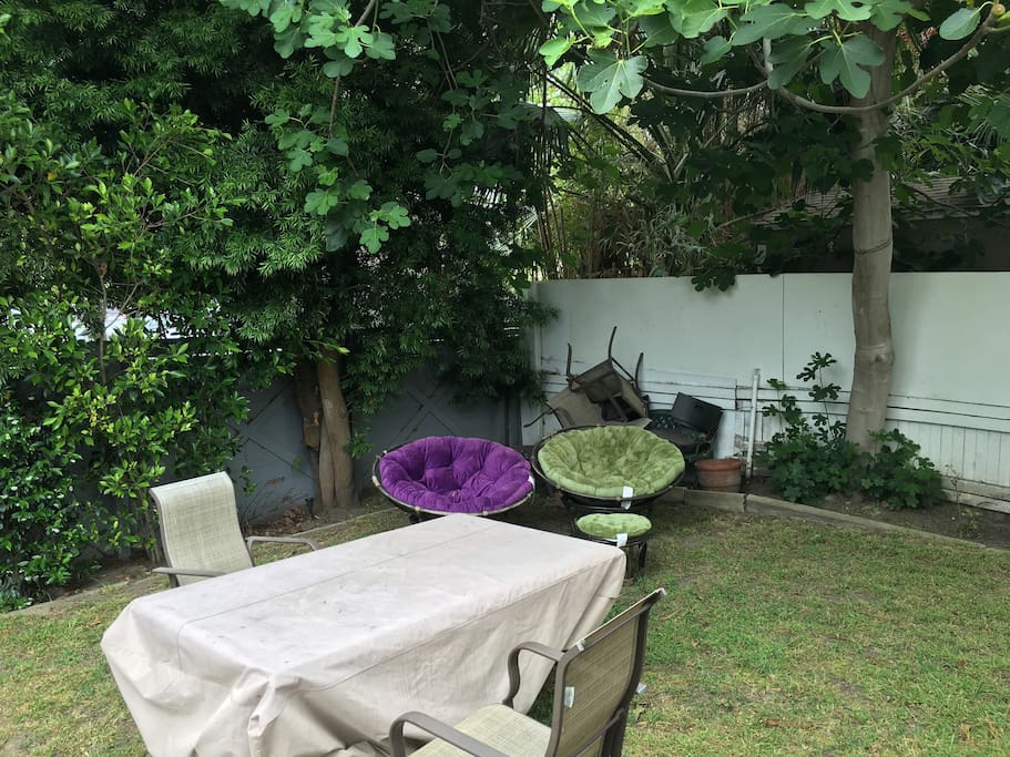 Front yard