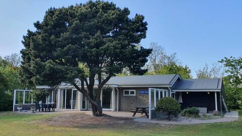 Relax on Ameland in luxury 6p house 1,000m2 of land