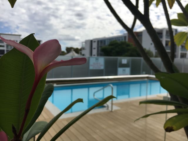 Modern 1 bed city apt with pool, parking & WiFi