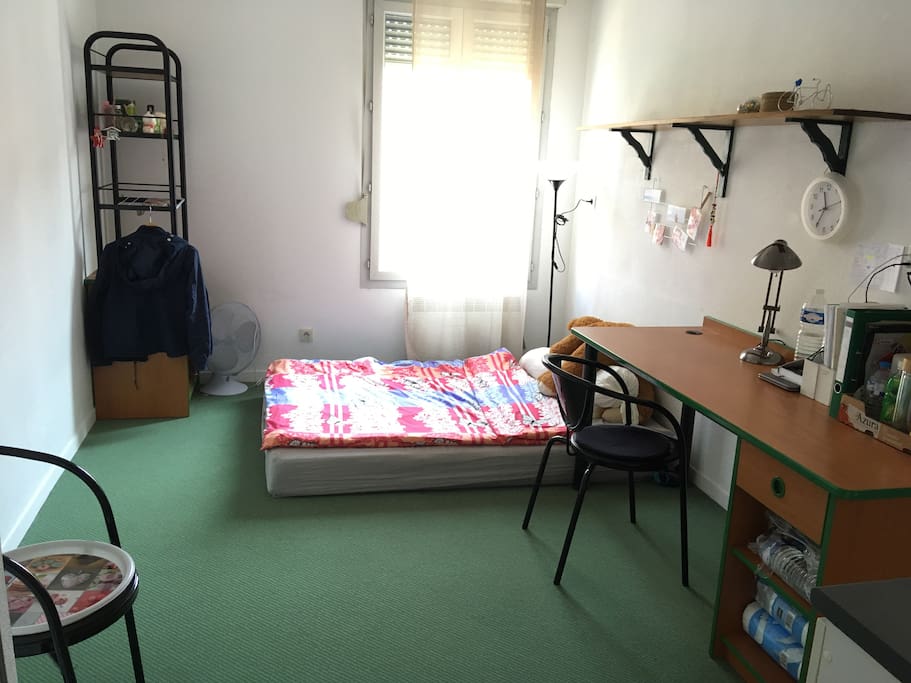 Living room / Bedroom