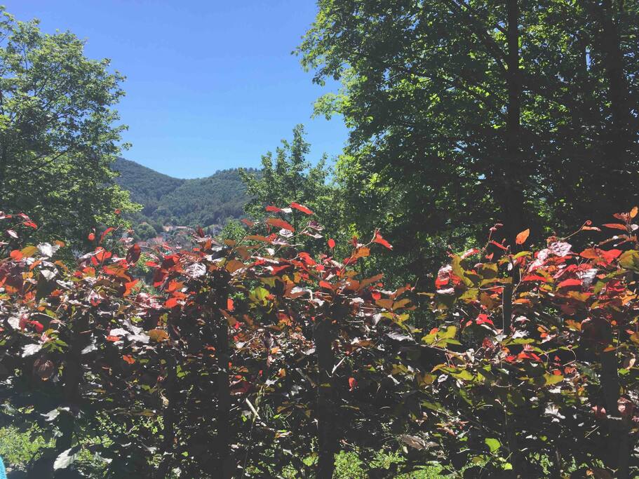 View over bad Harzburg