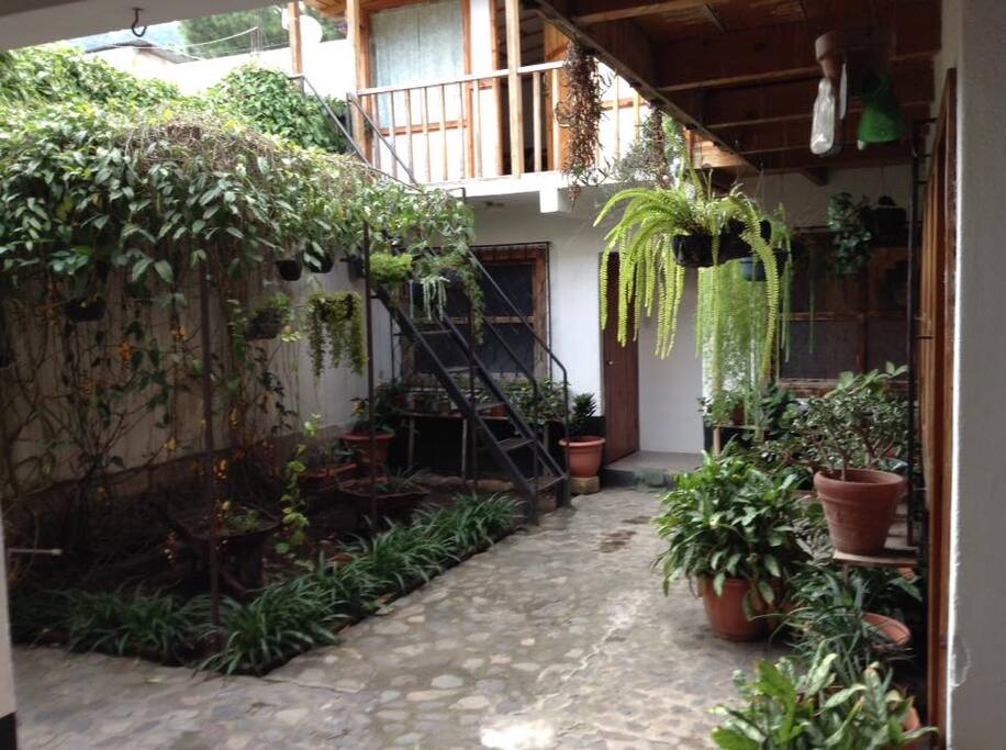 garden and patio