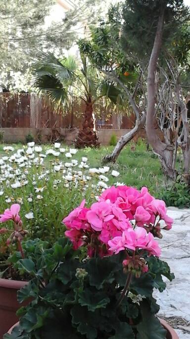 Jardín