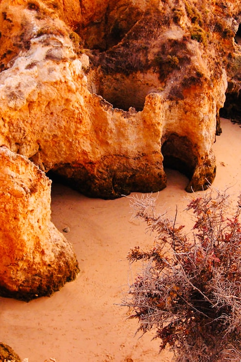 Show full-screen, host-provided image