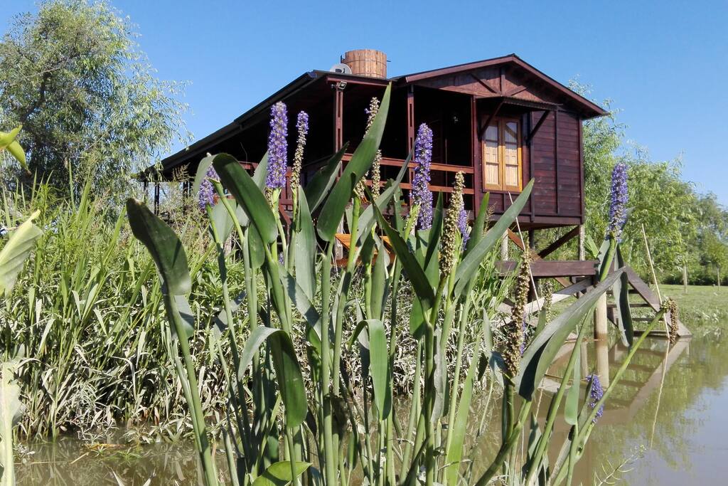 Cabaña Los Juncos