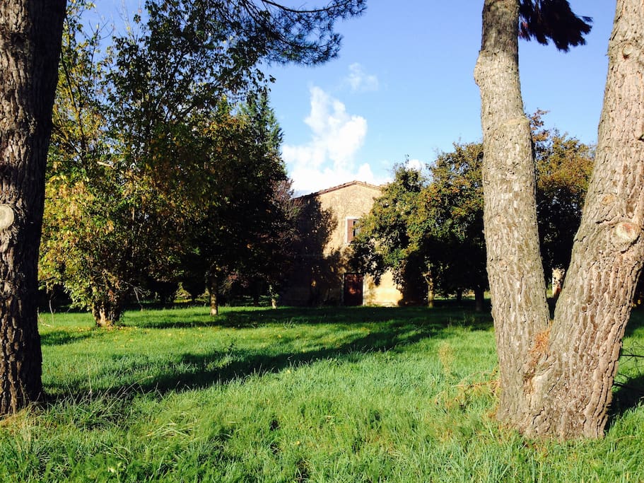 the garden and the house