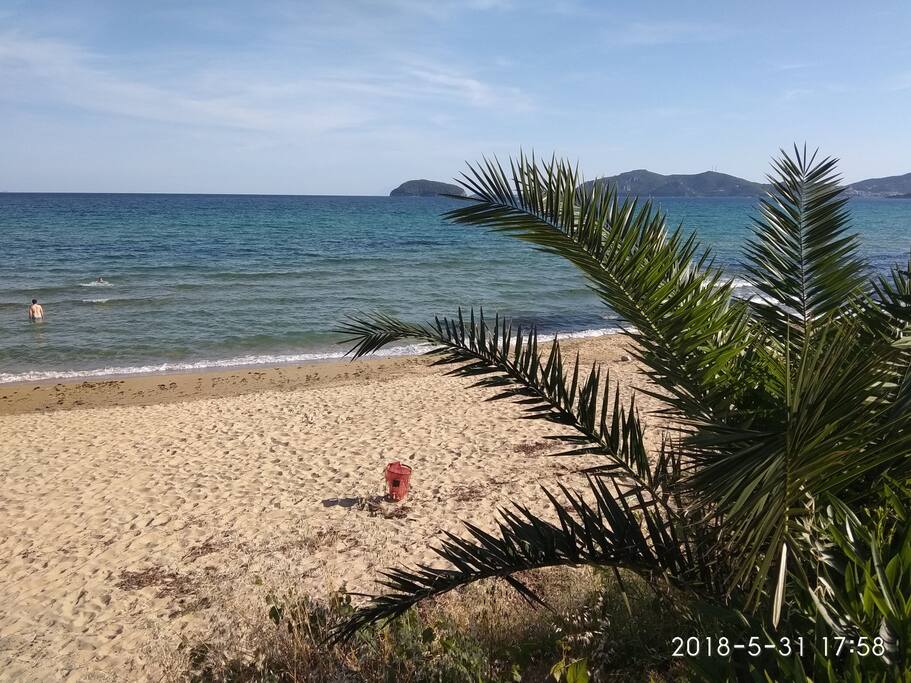 ΠΑΡΑΛΙΑ ΕΞΩΤΙΚΗ