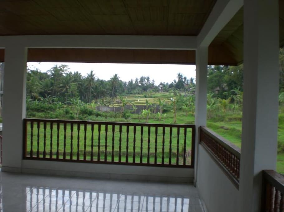 a view from the big balcony