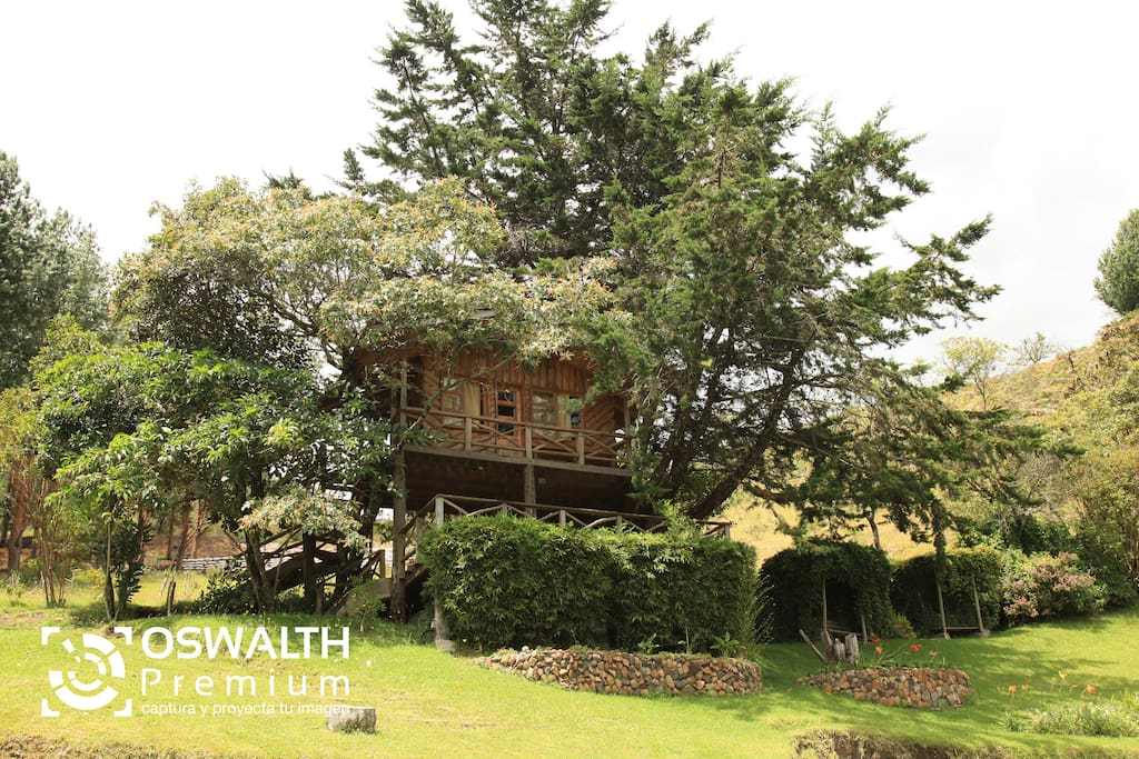 Nuestra Casa en el Arbol