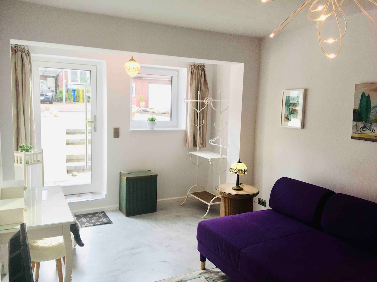 Obývacia izba so samostatným vchodom TV + ohniskom Netflix 