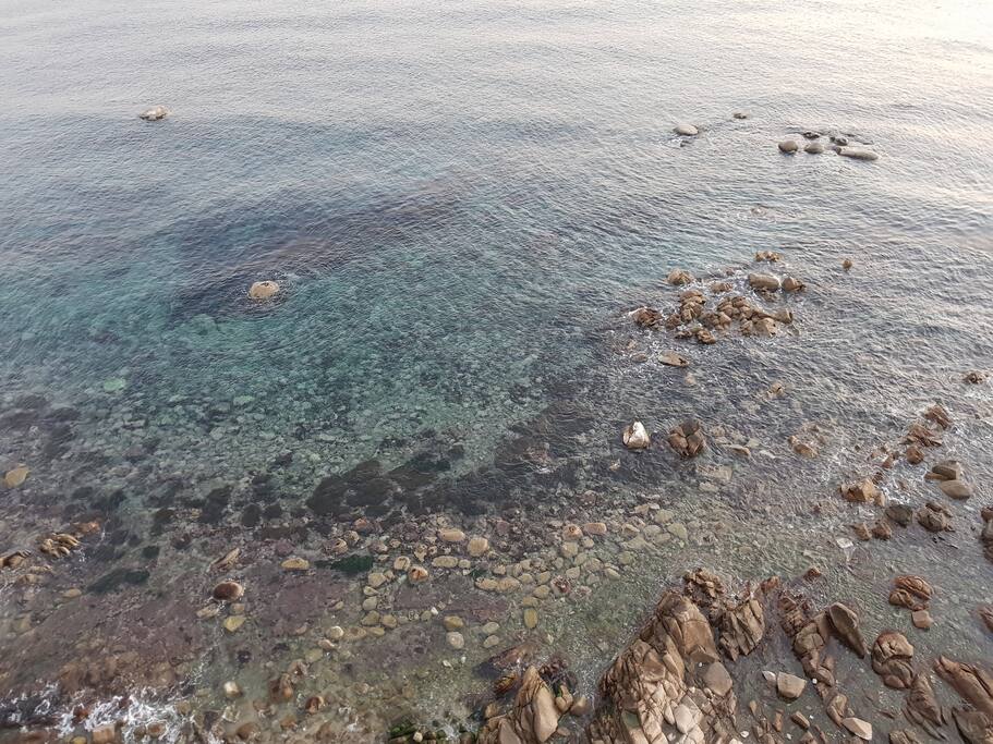거실에서 본 바다입니다