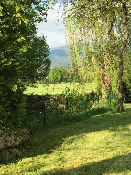 Jardin