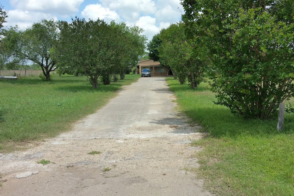 Ample parking! RV's and trailers are welcome to park on the front lawn.