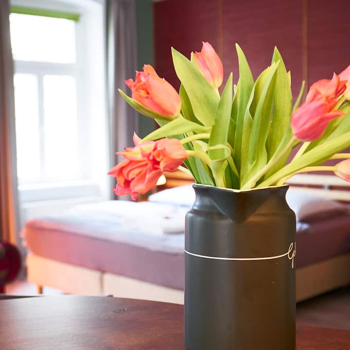 10 Best Airbnb Vacation Rentals In Dresden, Germany Updated 2024