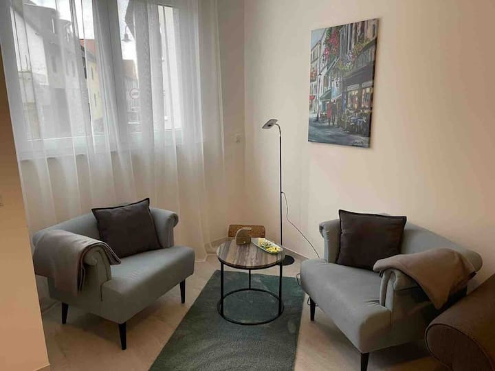 Lovely apartment in Bodenheim