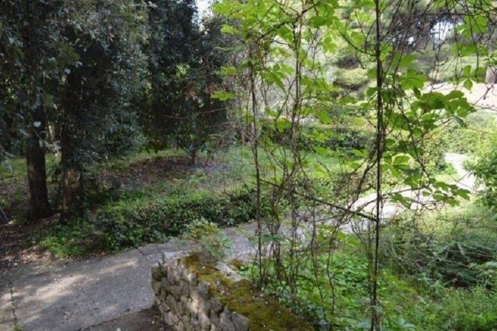 A1-Margerita(2+2): garden