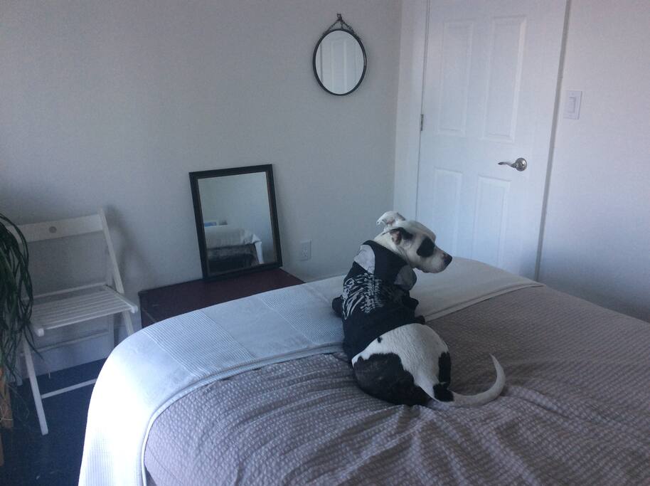 This is your bed! I’m still just settling in so it’s a bit bare, but it’s a comfortable bed!