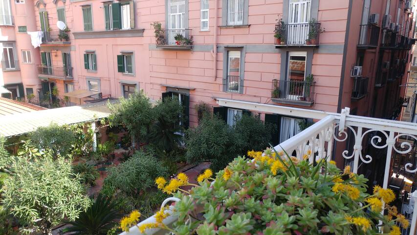 casa di lulù gallery image 2