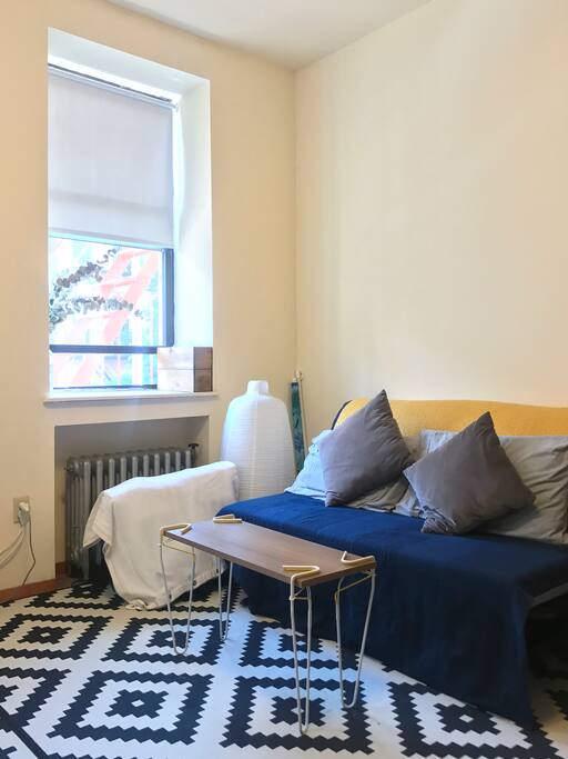 and a pull out sofa bed