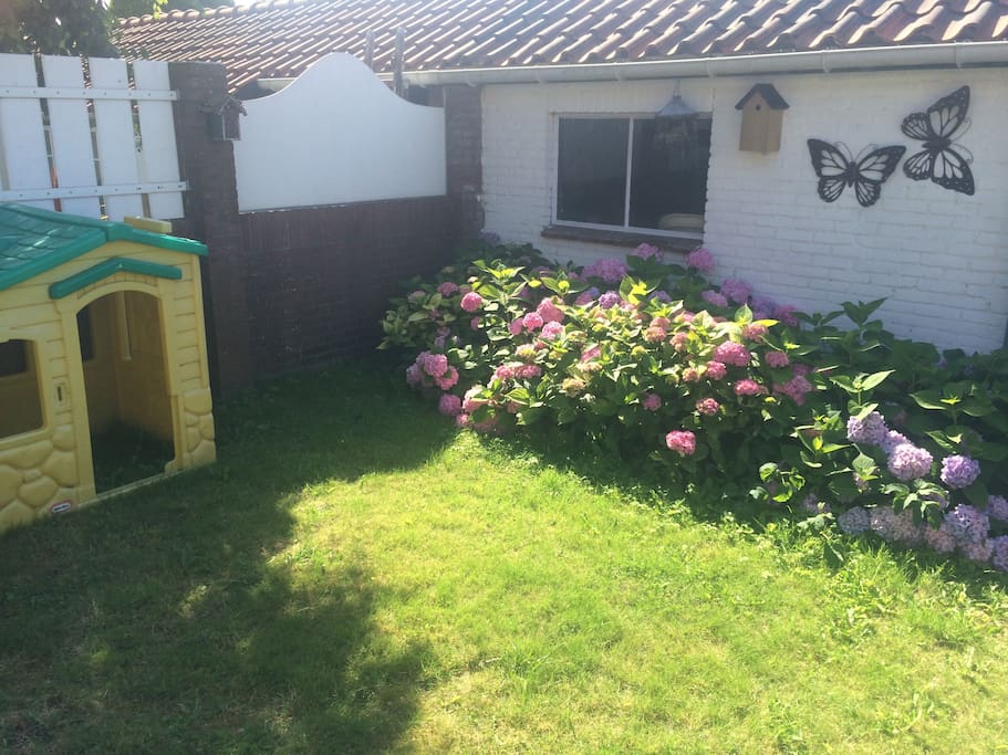 Tuin