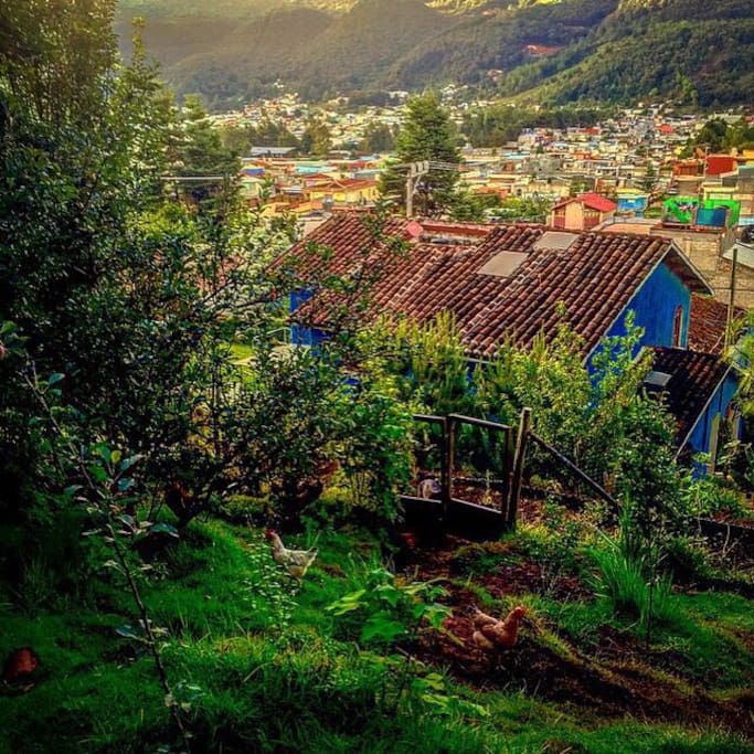 Vista de la recámara desde la huerta