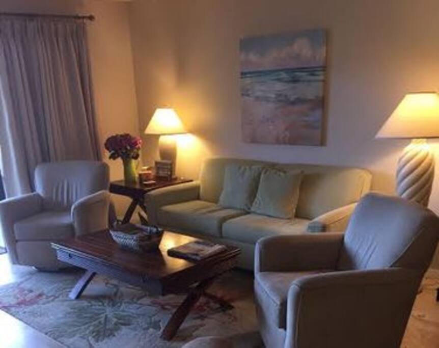 Cozy and large living room